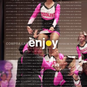 Joy11 Joy07309