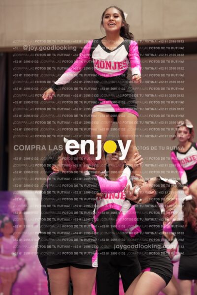 Joy11 Joy07310