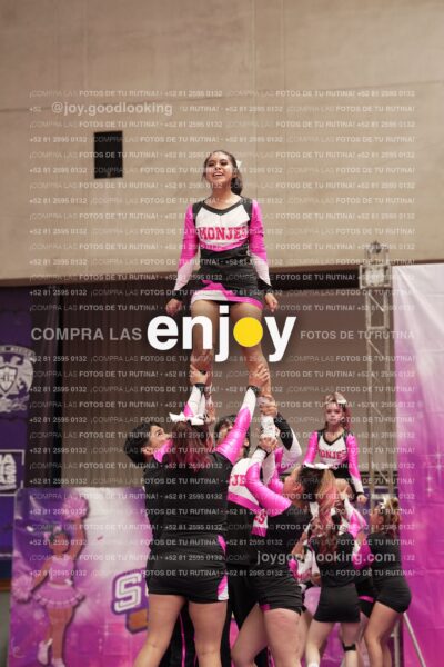 Joy11 Joy07311