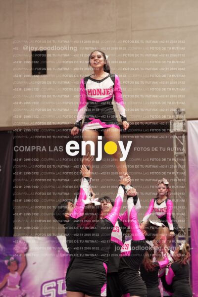 Joy11 Joy07312