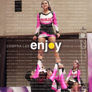 Joy11 Joy07312