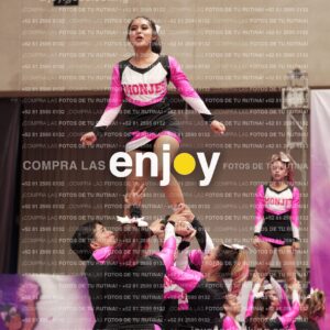 Joy11 Joy07315