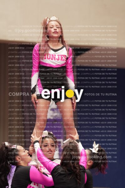 Joy11 Joy07319