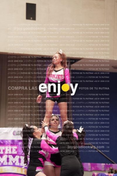 Joy11 Joy07320