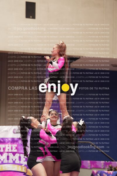 Joy11 Joy07321