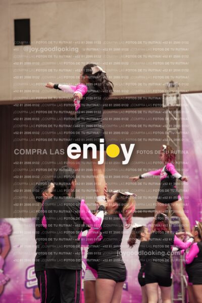 Joy11 Joy07324
