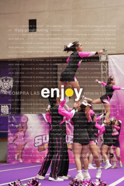 Joy11 Joy07328