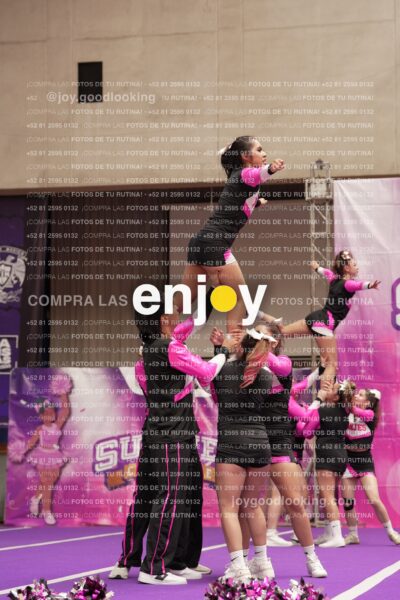 Joy11 Joy07329