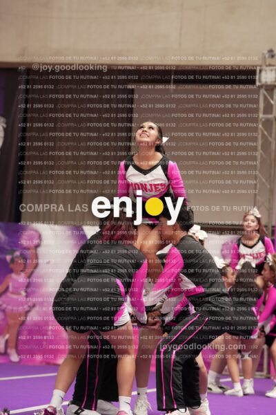 Joy11 Joy07341