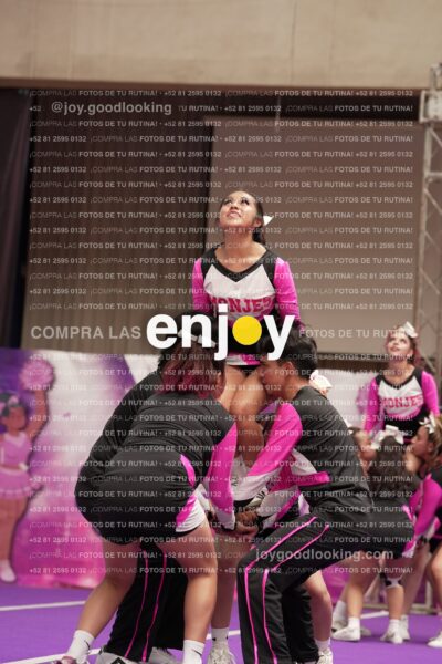 Joy11 Joy07342