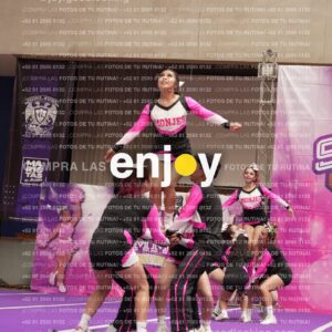 Joy11 Joy07345