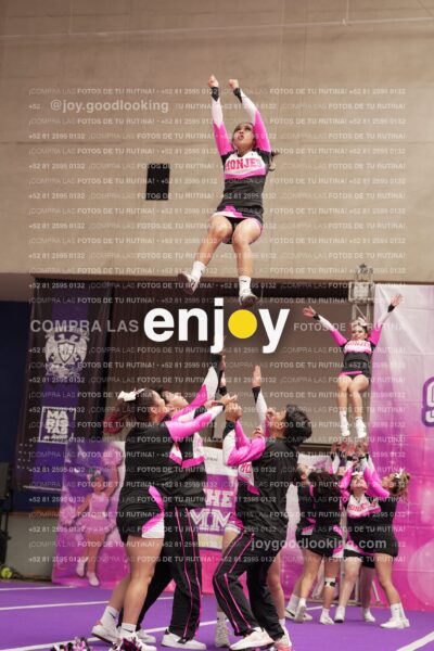 Joy11 Joy07349