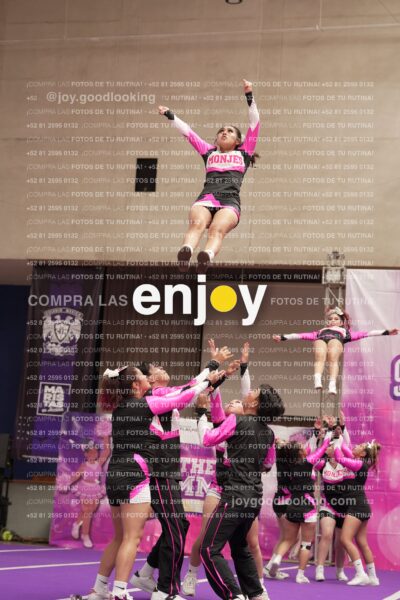 Joy11 Joy07350