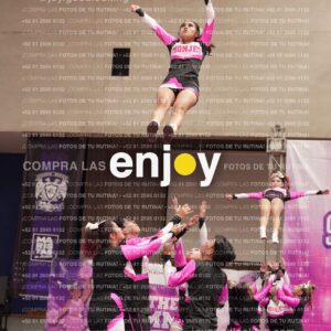 Joy11 Joy07350