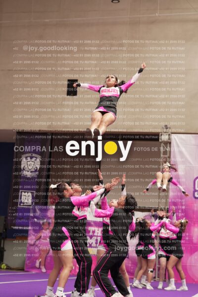 Joy11 Joy07351