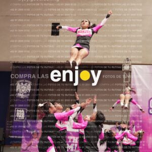 Joy11 Joy07351