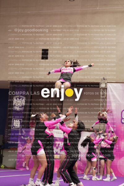 Joy11 Joy07352