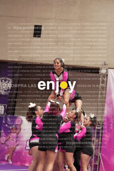 Joy11 Joy07357