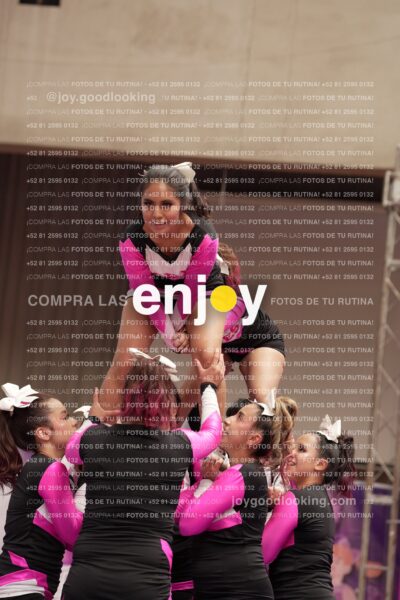 Joy11 Joy07358