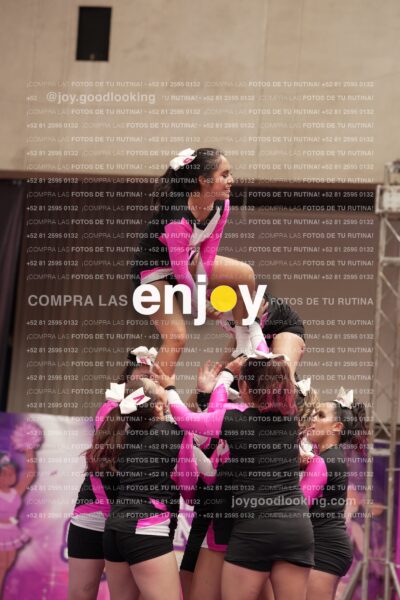 Joy11 Joy07360