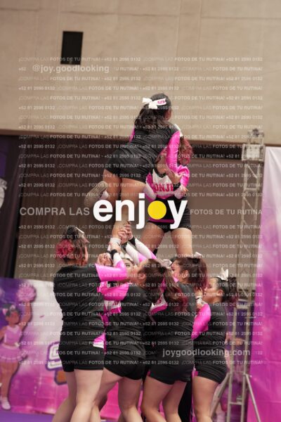 Joy11 Joy07362