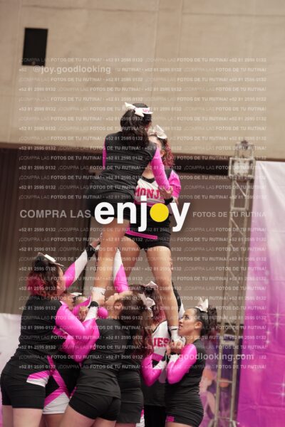 Joy11 Joy07366