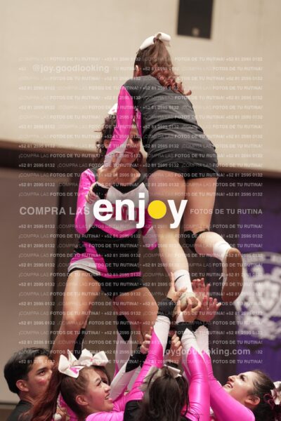 Joy11 Joy07367