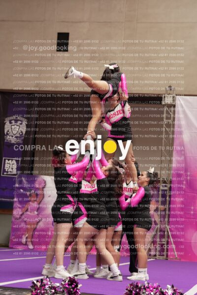 Joy11 Joy07370