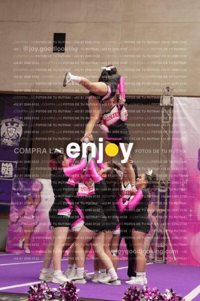 Joy11 Joy07371
