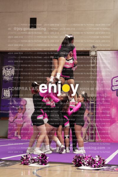 Joy11 Joy07374