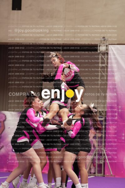 Joy11 Joy07375