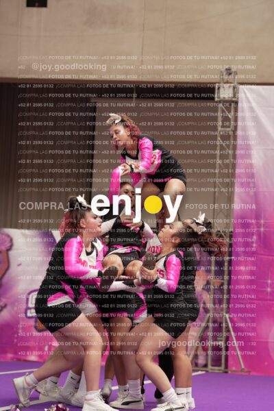 Joy11 Joy07376