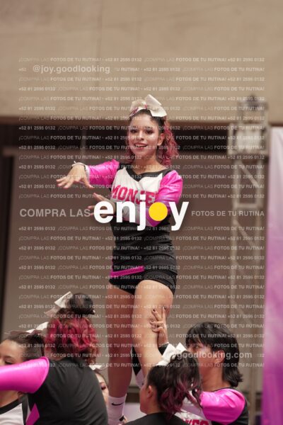 Joy11 Joy07377