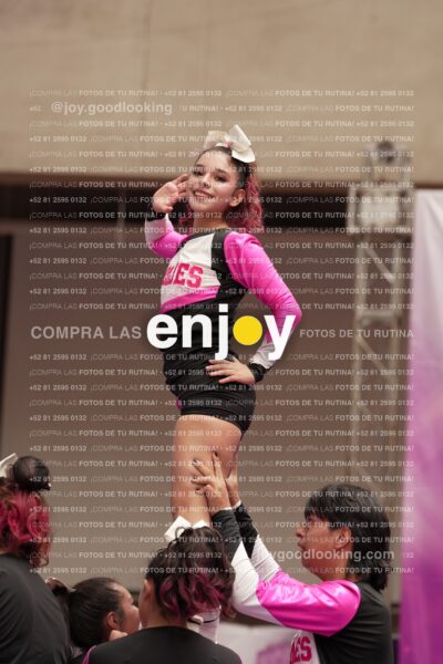 Joy11 Joy07378