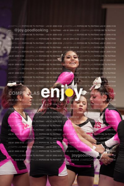 Joy11 Joy07379