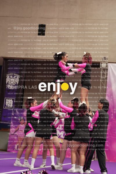 Joy11 Joy07386