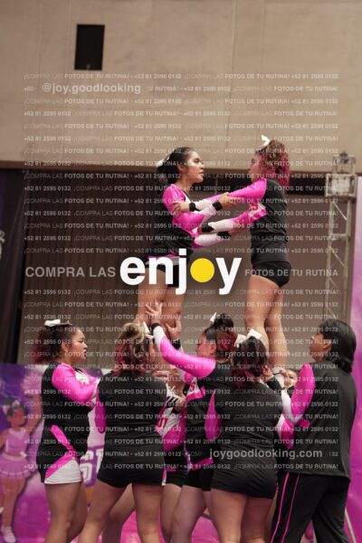 Joy11 Joy07387