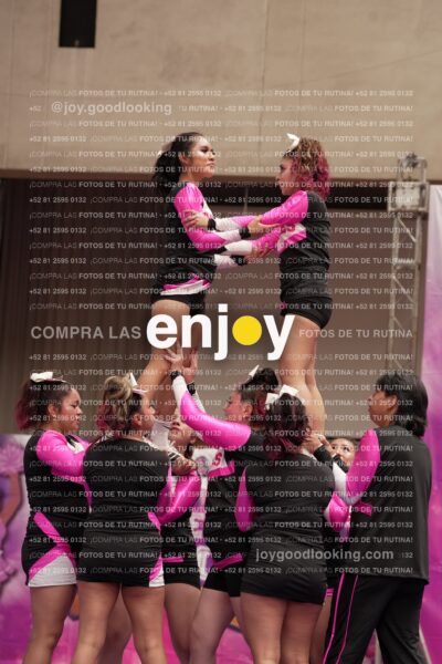 Joy11 Joy07388