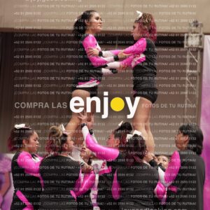 Joy11 Joy07388