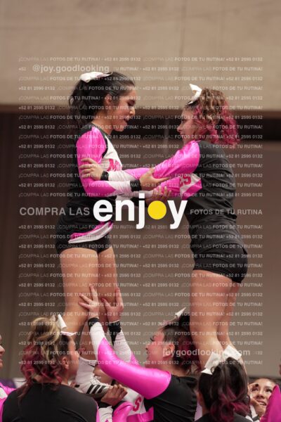 Joy11 Joy07390