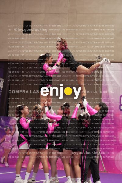 Joy11 Joy07391