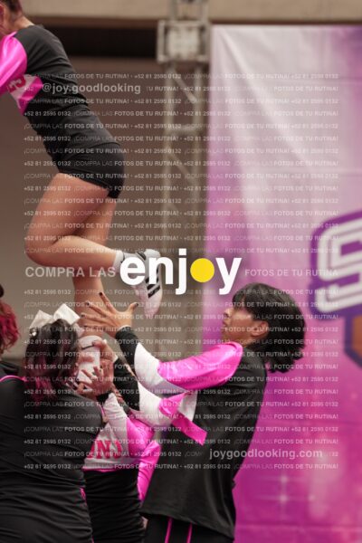 Joy11 Joy07397