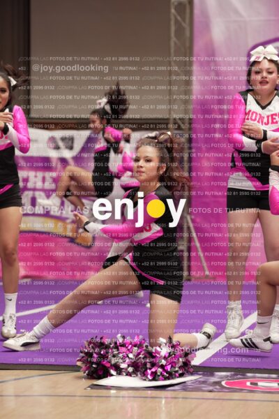 Joy11 Joy07413