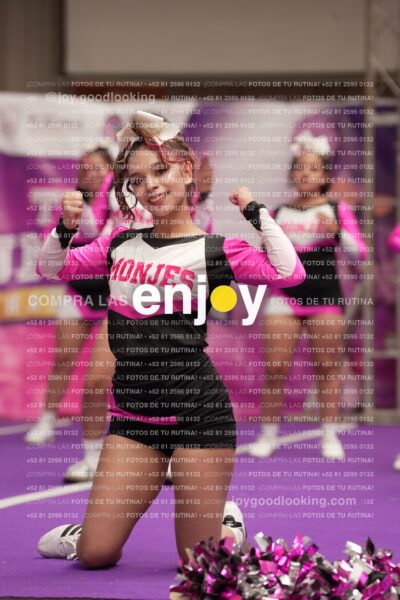 Joy11 Joy07429