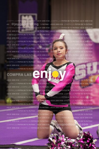 Joy11 Joy07432