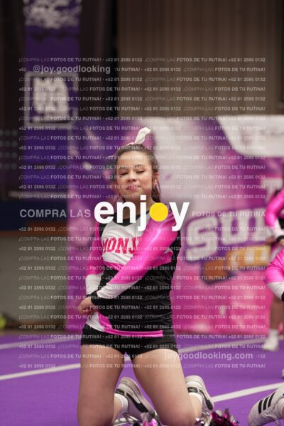 Joy11 Joy07433