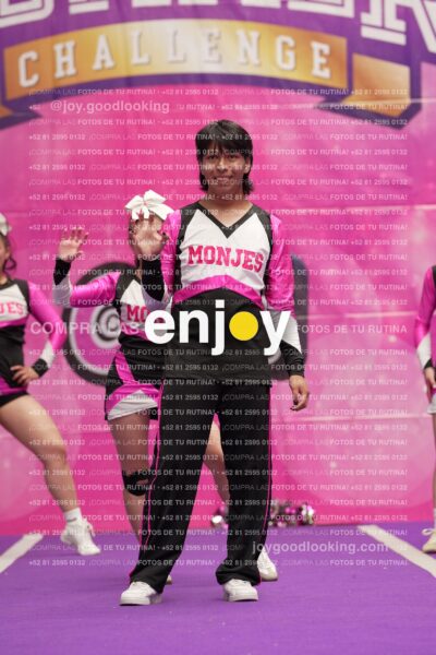 Joy11 Joy07451