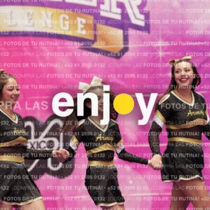 Joy12 Joy07456