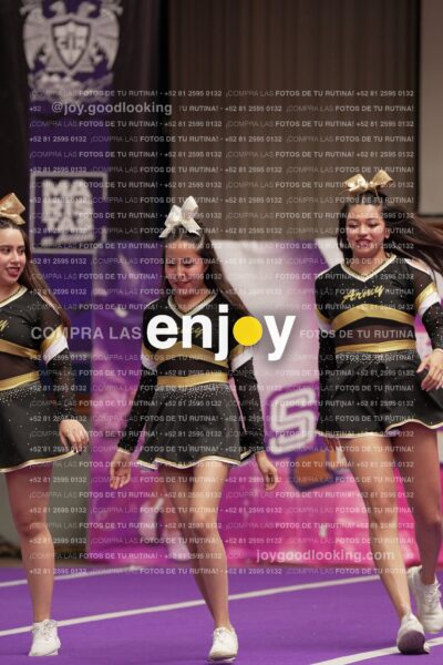 Joy12 Joy07460