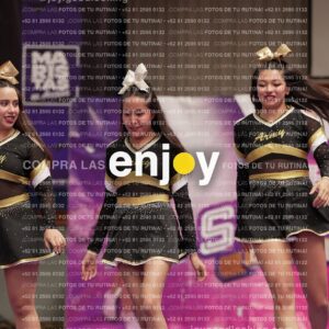 Joy12 Joy07460